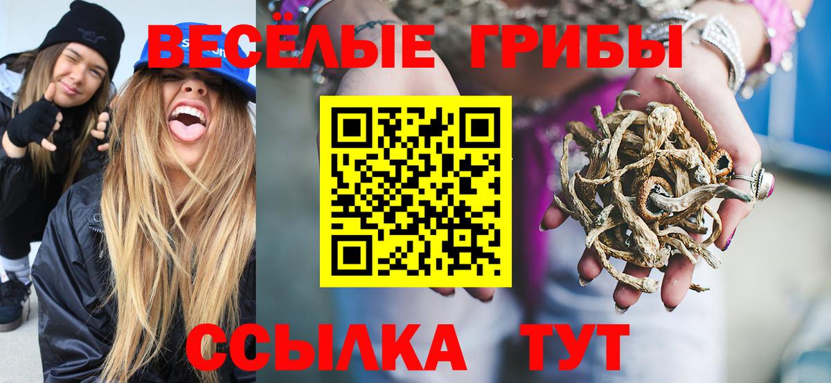 Псилоцибиновые грибы Cubensis  Вход с VPN  Гусев 