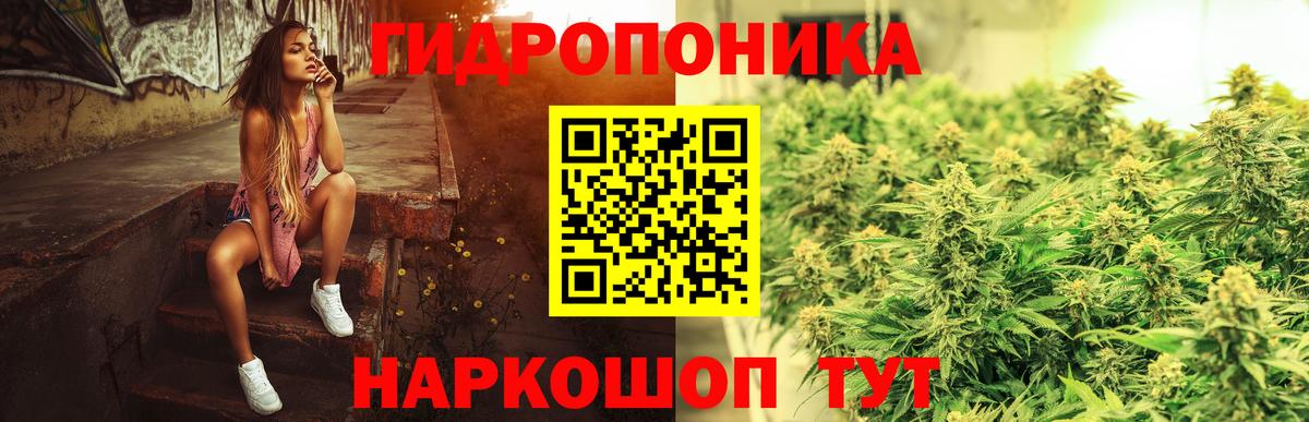 Шишки марихуана планчик Гусев